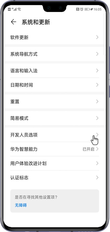 系统和更新里的开发人员选项